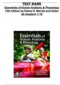 Test Bank for Essentials of Human Anatomy & Physiology  13th Edition by Elaine N. Marieb and Keller  all chapters 1-16