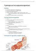 Samenvatting: spijsverteringsstelsel - Fysiologie II