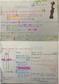 Parabola, Hyberpola, Straight line and Exponential Graph 