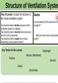 Lesson Slides Unit 5 -  Respiratory System