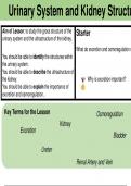 Lesson Slides Unit 5 -  Urinary System