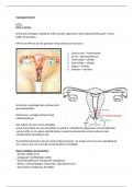 Cytologie samenvatting minor blok 1