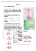 Pathologie samenvattingen Minor HAN