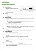 Intro to Memory + Practice Questions