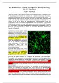 Histología I, Tejido Nervioso, Histología Neurona y Glia.pdf