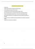 ALEVEL OCR RS- ETHICS- CONSCIENCE FULL ESSAY PLANNING DOCUMENT