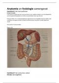 Samenvatting Anatomie en Fysiologie, alle leerstof voor leerjaar 1, kennisscan 1, semester 1