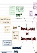 A Level Chemistry - Electrode Potentials & Electrochemical cells Mind Map