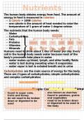 Clean & Aesthetic High School A&P Notes: Nutrition Needs and the Human Body