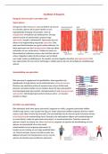 Samenvatting Hoofdstuk 14 Reageren Havo 5 