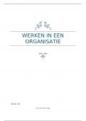 Samenvatting Werken in een organisatie