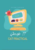 Grade 11 CAT Practical