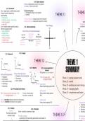 Summary of Theme 1 Business Alevel Edexcel 