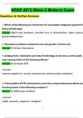 2025 NRNP 6675 Week 6 Midterm Exam Latest Update with 100% solved -Graded A+ Verified 2025 / 2026 Update