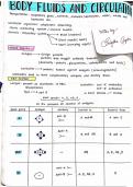 Essential Notes to Human Circulatory System: Blood, Heart, and Vascular Health