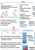 Aufbau, Struktur und Funktion von Proteinen