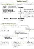 Neurobiologie - Nervensystem