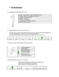 Examenvragen anatomie