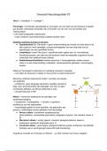 Samenvatting -  Neurolinguïstiek