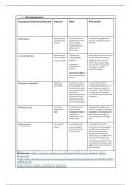 Practice task for the production of paracetamol (Extended)