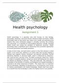 Essay Unit 26 Health Psychology  Assignment 1 