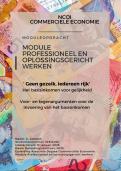 NCOI module Professioneel en Oplossingsgericht Werken - Commerciele Economie 2 jaar - Stelling: een basisinkomen voor iedereen, goed idee - Geslaagd cijfer 8 + OEFENTOETS 2025 