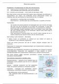 Samenvatting - Moleculaire genetica