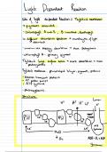 Edexcel Biology Topic 5 - Complete revised summary