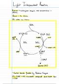 Topic 5 Light Independent Reaction