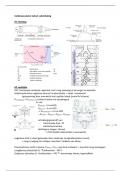 Samenvatting - cardio ademhaling 