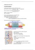 Samenvatting - Cardio hart 