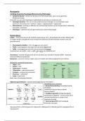 anatomie samenvatting voor 1e kennistoets 2024/2025 (1e jaars)