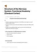 Structure of the Nervous System: Functional Anatomy (Cerebral Cortex) Notes