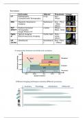 Samenvatting -  DEEL MACRO Biomedical Imaging (1080FBDBMW)