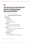 SNS: Noradrenergic Neurotransmission Notes