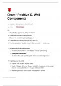 Gram- Positive Cell Wall Components Lecture