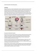 Unit 9b: Homeostatic Control of Body Systems - BTEC Applied Science