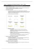 Mana Année 1 Question 3.4 Les mécanismes de coordination et decontrôle