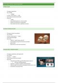 Volledige samenvatting + aangevulde lijst genetische aandoeningen - celbiologie 1