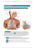 Samenvatting Basis Acute Zorg (BAZ)