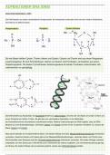 Mitschriften/Notizen über den Aufbau einer DNA