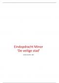 Beleidsadvies (essay) Veilige stad