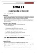 Tema 12 - Cementación de tuberías