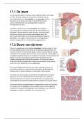 Samenvatting van Hoofdstuk 16-20 van 10voorBiologie vwo, inclusief afbeeldingen met bijschriften.