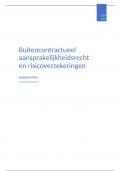 samenvatting buitencontractueel aansprakelijkheidsrecht & risicoverzekeringen + REGISTER VAN ARRESTEN OM AF TE DRUKKEN