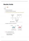 Biology - Biochem - Nucleic Acids