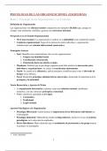 Esquema psicologoa de las Organizaciones UNED