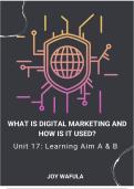 Unit 17 - Digital Marketing  