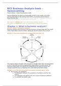 Business Analysis 4th Edition samenvatting