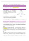 Volledige samenvatting van de lessen bacteriologie 